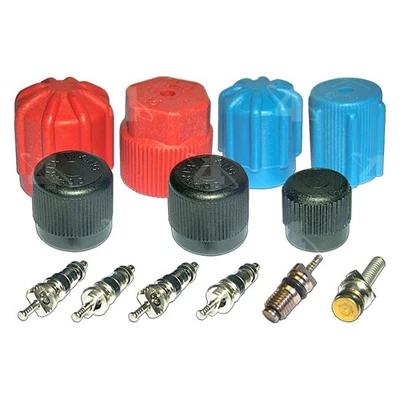 For Ford E-150 Econoline Club Wagon 75-90 A/C System Valve Core & Cap Kit Foto 1 de 2