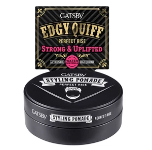 Pomada de peinado GATSBY tiro perfecto peinado Edgy Quiff 75 g ENVÍO GRATUITO - Imagen 1 de 4
