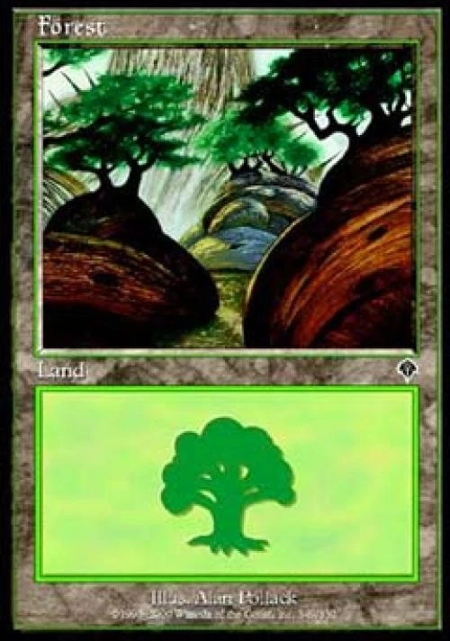 Forest (349) - Light Play MTG Invasion - Image 1 of 1