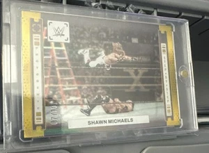 2023 WWE Photogenic Shawn Michaels Step By Step /10 - Picture 1 of 4