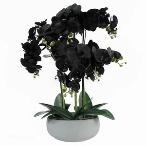 Maceta artificial de orquídea negra con cerámica blanca - Imagen 1 de 4