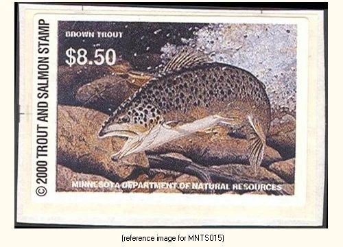 D2K Minnesota Trout Stamp 2000 $8.50 s/adh - Image 1 of 1
