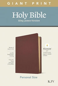 KJV STUDY BIBLE: Genuine Leather, Study App Enabled, Red Letter - GIANT PRINT - Picture 1 of 12