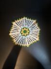 Vintage Hand Crocheted Doily Yellow Flower Design Yellow Trim  Cotton Round READ
