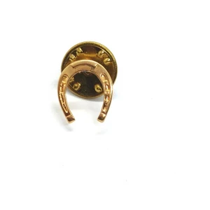 Good Luck Horseshoe Charm Lapel Pin Equestrian Western Cowboy Horse Vintage - Picture 1 of 3