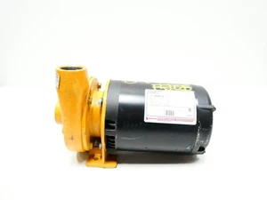 Monarch ACE-100LP Iron Centrifugal Pump 1-1/4in 1-1/2in 56gpm 100ft 1hp 575v-ac - Picture 1 of 6
