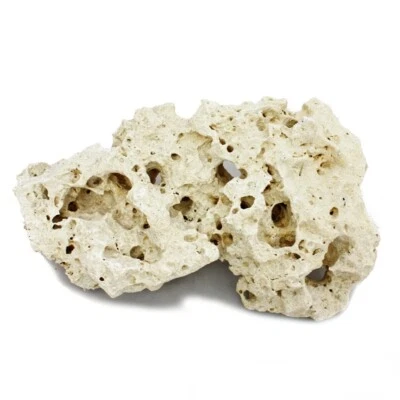 EXOTENHERZ Sansibar Rock Gr. XL 23-30 cm