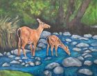 "Doe & Fawn In Woods" 8X10 Solid Wood Frame Matted W/ 5X7 Original Gilcee Print