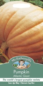 Pumpkin Seeds Atlantic Giant Mr Fothergills Vegetable Seeds UK DELIVERY INCLUDED - Picture 1 of 2