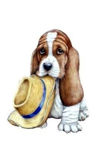 BASSET HOUND CHARMING PUPPY DOG GREETINGS NOTE CARD DOG & HAT - Foto 1 di 1
