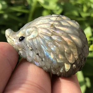 1 pieza Calavera de erizo de labradorita natural cuarzo cristal tallado reiki curación 1,5"" - Imagen 1 de 12