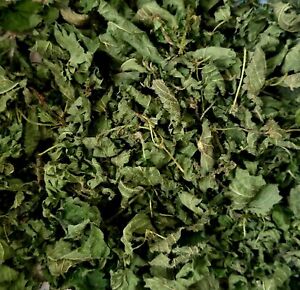 50g Bio Brennessel Tee 100% Kraut Blätter geschnitten getrocknet aus Thüringen 