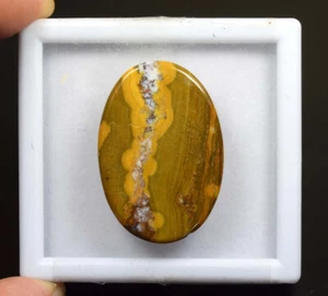 Piedra preciosa suelta cabujón ovalado jaspe marino 100 % natural 47,60 quilates para colgante - Imagen 1 de 3