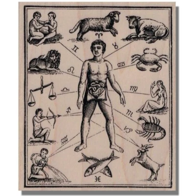 Sello de goma, diagrama del zodiaco, medios de comunicación, astrología, horóscopo signos estelares suerte futura Foto 1 de 2