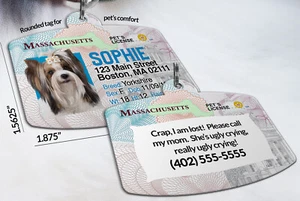 Massachusetts Drivers License Pet ID tags Personalized Pet ID Tag aluminum - Picture 1 of 10