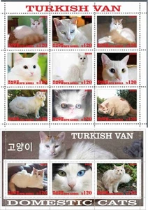 Stamp sheet+block Turkish Cat Korea issue 2020 - Picture 1 of 1