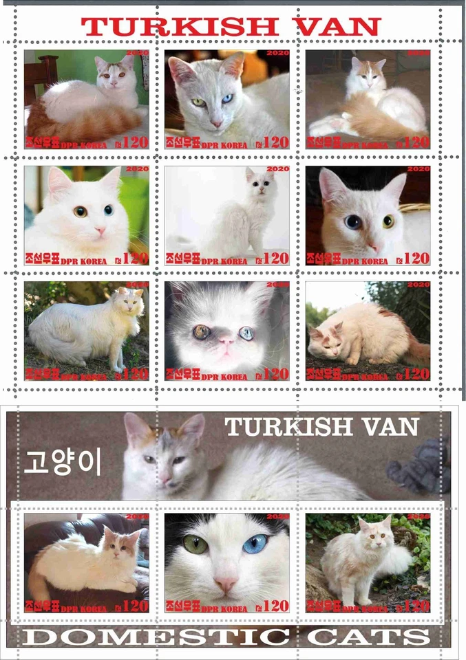 Stamp sheet+block Turkish Cat Korea issue 2020 - Image 1 of 1