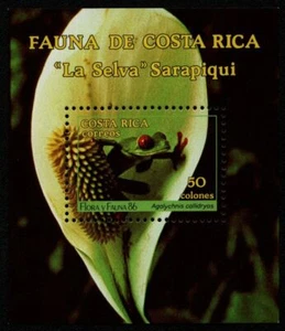 Costa Rica 1986 - Mi-Nr. Bloque 13 ** - MNH - Ranas / Ranas (II) - Imagen 1 de 2