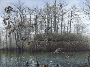 2024 Arkansas Ducks Unlimited Sponsor Print Signed AP Big Daddy Greenheads - Picture 1 of 4