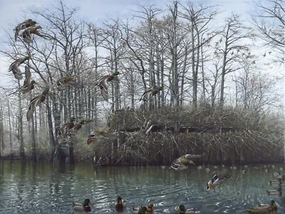 2024 Arkansas Ducks Patrocinador Ilimitado Impresión Firmado AP Big Daddy Greenheads Foto 1 de 4