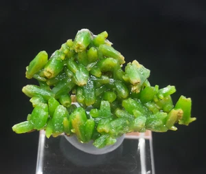 Bonito racimo de piromorfita 29 mm, muestra mineral natural de China CMM2341319 - Imagen 1 de 5