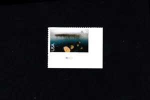 USPS Voyageurs National Pk Airmail 2009 Scott #C148 80¢ Single Stamp MNH P11111 - Picture 1 of 2