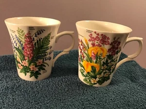 Juego de 2 tazas de café porcelana de hueso fino St George England patrones florales MAX5643 - Imagen 1 de 11