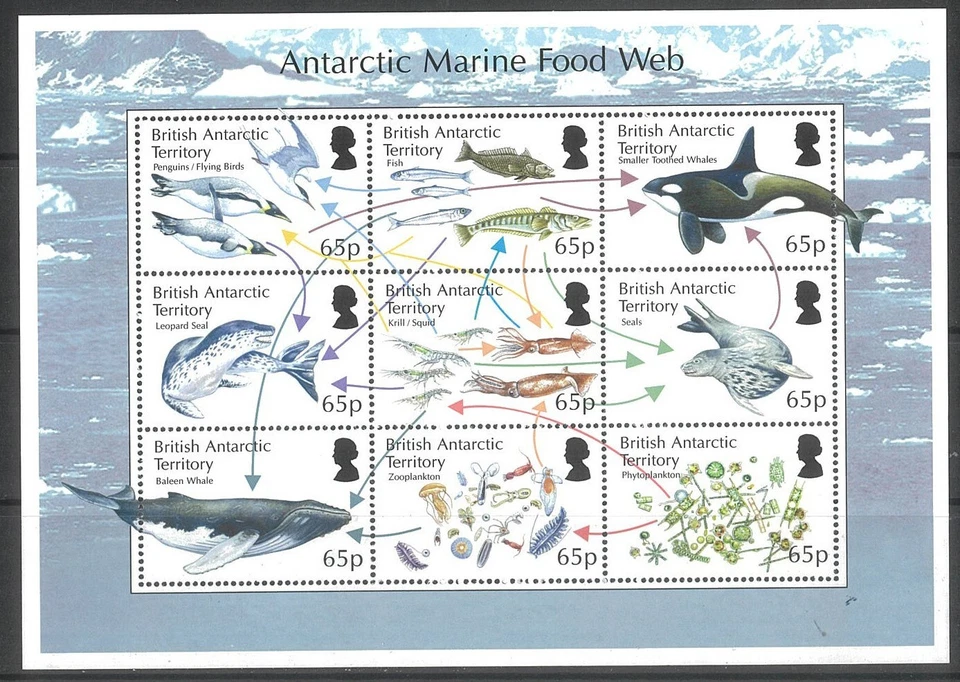 Mini hoja de red alimentaria marina Territorio Antártico Británico 2014 SG658 MUH 25-20 Foto 1 de 1