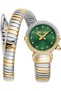 Just Cavalli Uhr - JC1L350M0065 für weibliche Flasche grün in Edelstahl - Bild 1 von 3