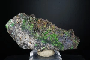 Conichalcite, Mixite & Cornwallite / Gold Hill Mine, Utah / Rare Mineral Specime - Picture 1 of 4