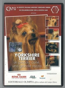 YORKSHIRE TERRIER EIN KLEINER HUND, EINE GROSSE RASSE DVD SEHR GUT GEBRAUCHT - Bild 1 von 2