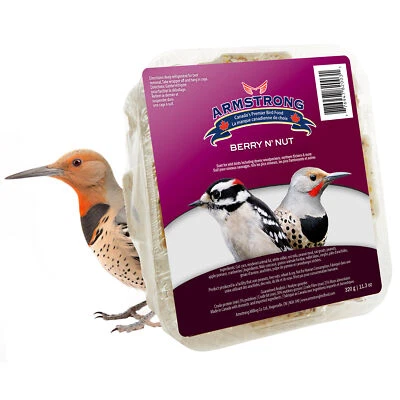 Armstrong Wild Bird Food Berry N' Nut Suet Cake, 11.3oz