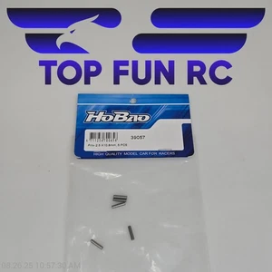 HoBao 39057 Pin 2.5x10.8mm (5pcs) - Picture 1 of 1