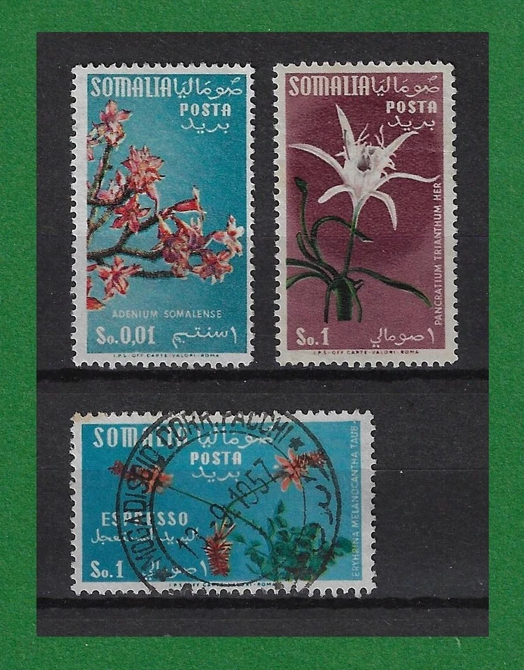 S634, Somalia, 1955, Flowers, So 0.01 MH, So. 1 MVLH, So. 1 VFU - Image 1 of 1
