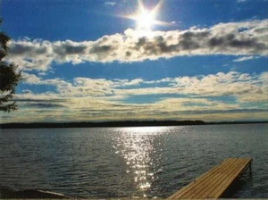 Postal Maine Stillwater Water View Condado de Penobscot COMO NUEVA sin usar - Imagen 1 de 1