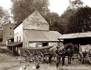 Farmer in the Barnyard, Germantown, Pennsylvania - c1900 - Historic Photo Print - Picture 1 of 1