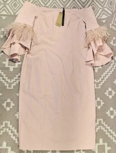 COAST Womens Sadie Feather Trim Shift Dress Size 18 Blush Occasion Cocktail BNWT - Picture 1 of 19