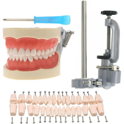 Dental 32 Piezas Dientes Tipodont Modelo Kilgore Tipo NISSIN Poste de Montaje Extraíble Foto 1 de 4