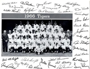 1966 Detroit Tigers Team 8x10 foto Kaline Lolich Cash Michigan béisbol - Imagen 1 de 1