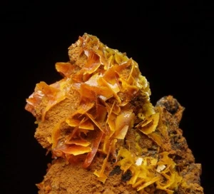 WULFENITE beautiful orange crystals -- CHINA - Kuruktag Mountains /pl211 - Picture 1 of 15