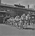 The Irish State Coach At The Royal Stables On Royal Mews 1960S Old Photo