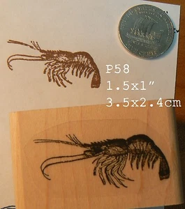 P58 shrimp rubber stamp - Picture 1 of 1