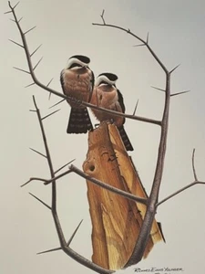 Richard Evans Younger Rufous Thighed Falconets Lithograph 1973 SIGNED 16 x 20 - Picture 1 of 9
