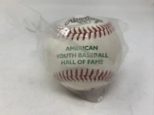 AMERICAN YOUTH BASEBALL HALL OF FAME COOPERSTOWN DREAMS PARK Rawlings - Picture 1 of 6