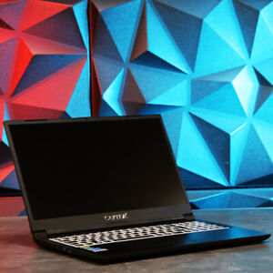 Captiva Advanced Gaming Laptop // i7-10870H, GTX 1650 Ti, 16 GB RAM, 1 TB SSD