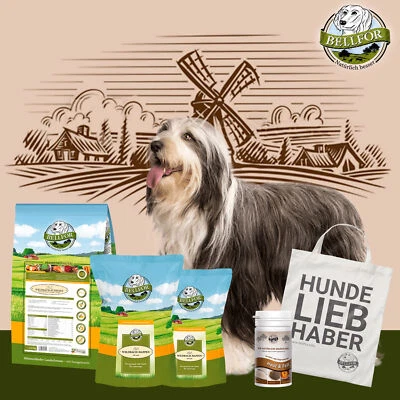 Bellfor Trockenfutter & Soft Snack Lachs Haut & Fell Pulver Bearded Collie Set - Bild 1 von 4