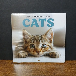 CATS 2026 16-Month Mini 5.6x5.3" Calendar, New / Sealed - Picture 1 of 3