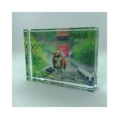 Paperweight Crystal Glass Custom Image FREE Post