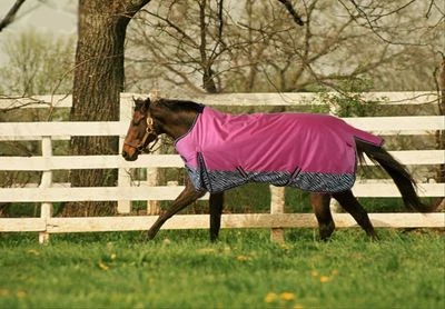 DELTA CANOPIES 1680D TURNOUT WATERPROOF HORSE BLANKET 006 - Size from 69" to 83"