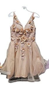 NWT Anny Lee Golden V Neck Sleeveless Floral Embroidery Women's Dress Size M - Picture 1 of 9